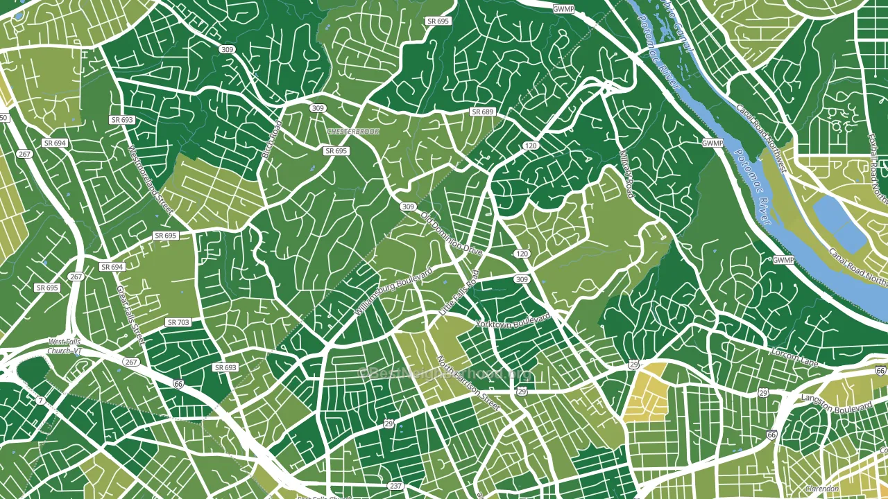 Rock Spring, Arlington, VA block-group voter-turnout map