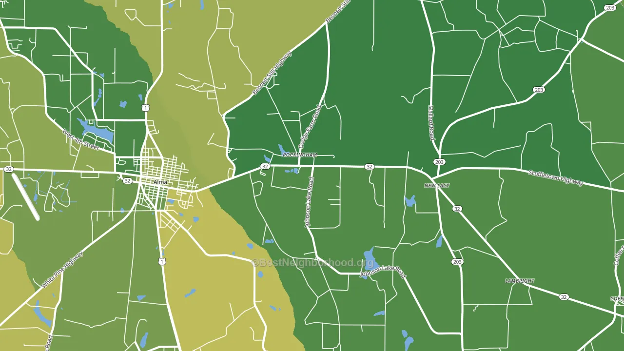 Rockingham, GA block-group voter-turnout map