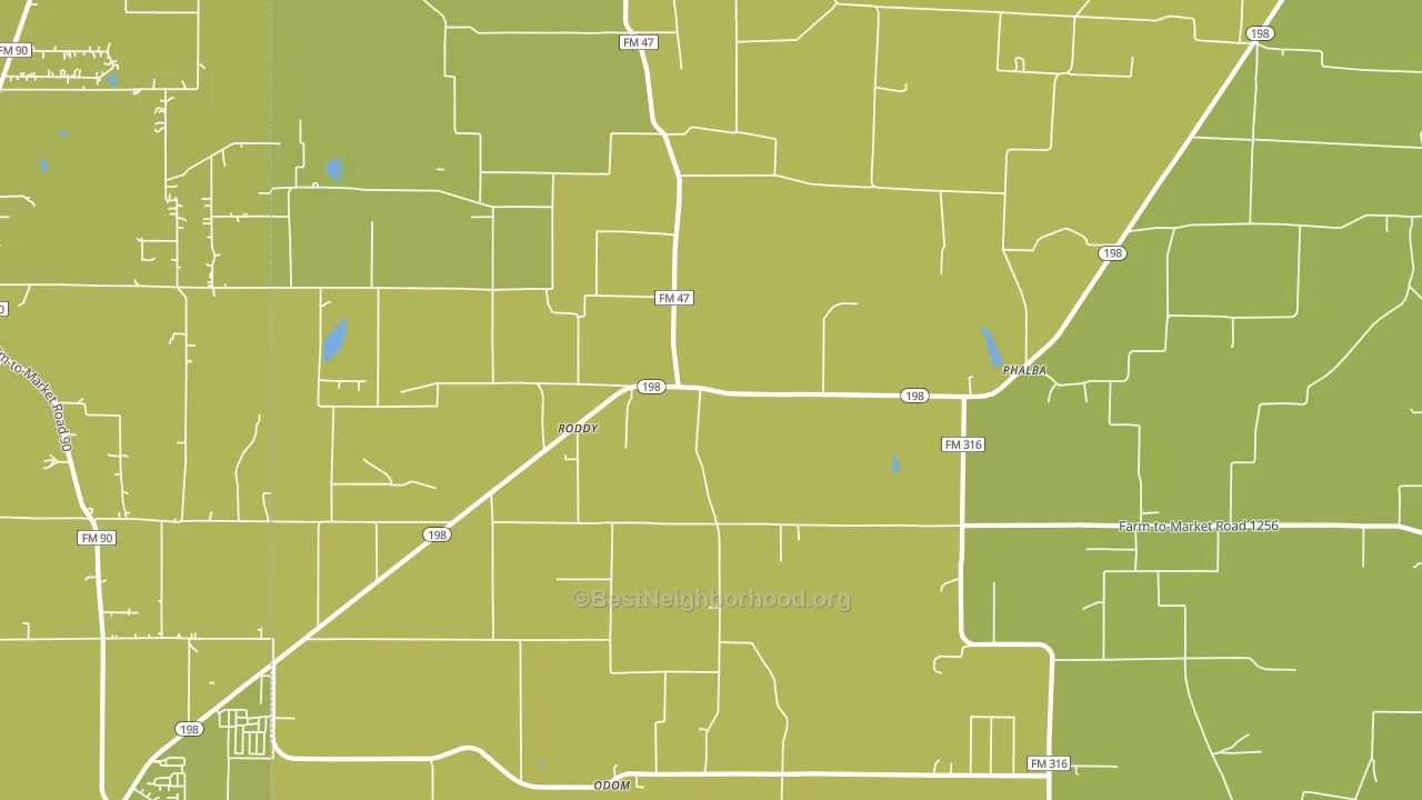 Roddy, TX block-group voter-turnout map