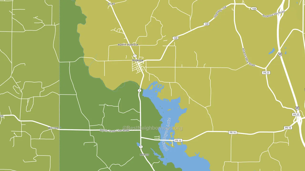 Rodessa, LA block-group voter-turnout map