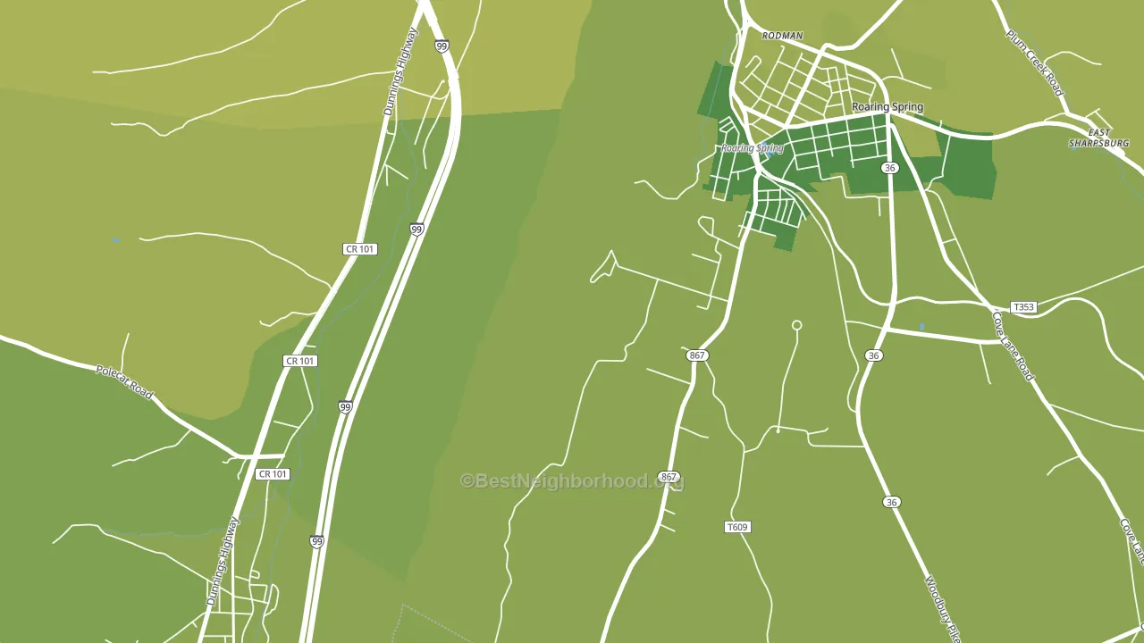 Rodman, PA block-group voter-turnout map
