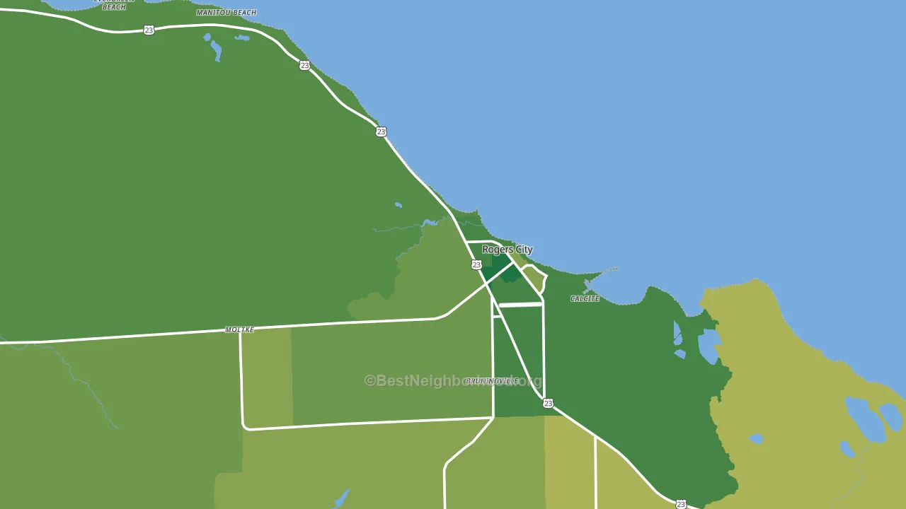 Rogers City, MI block-group voter-turnout map