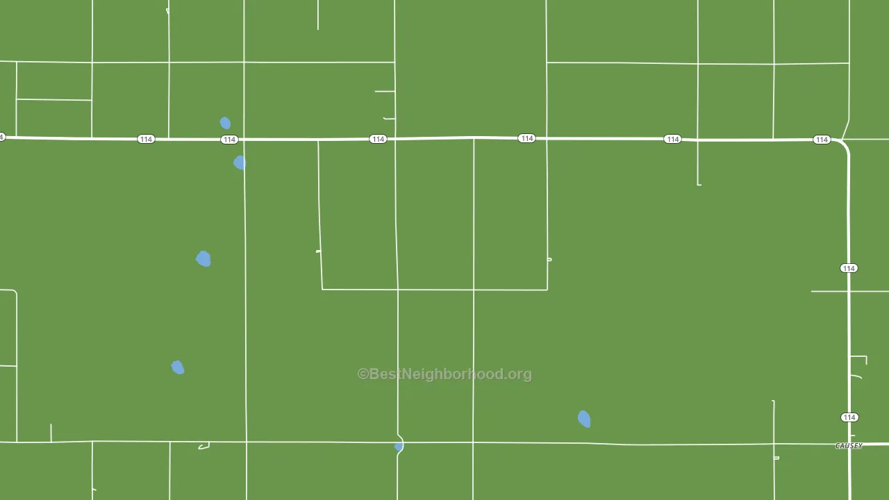 Rogers, NM block-group voter-turnout map