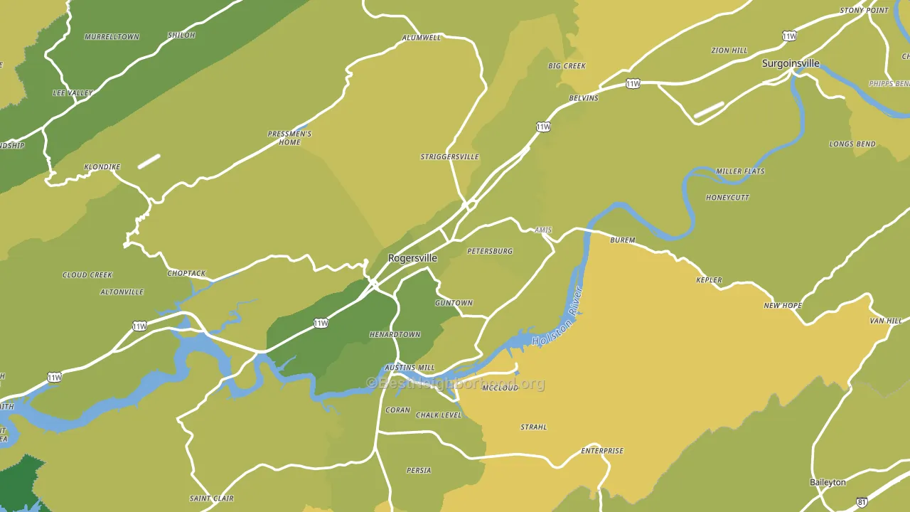Rogersville, TN block-group voter-turnout map