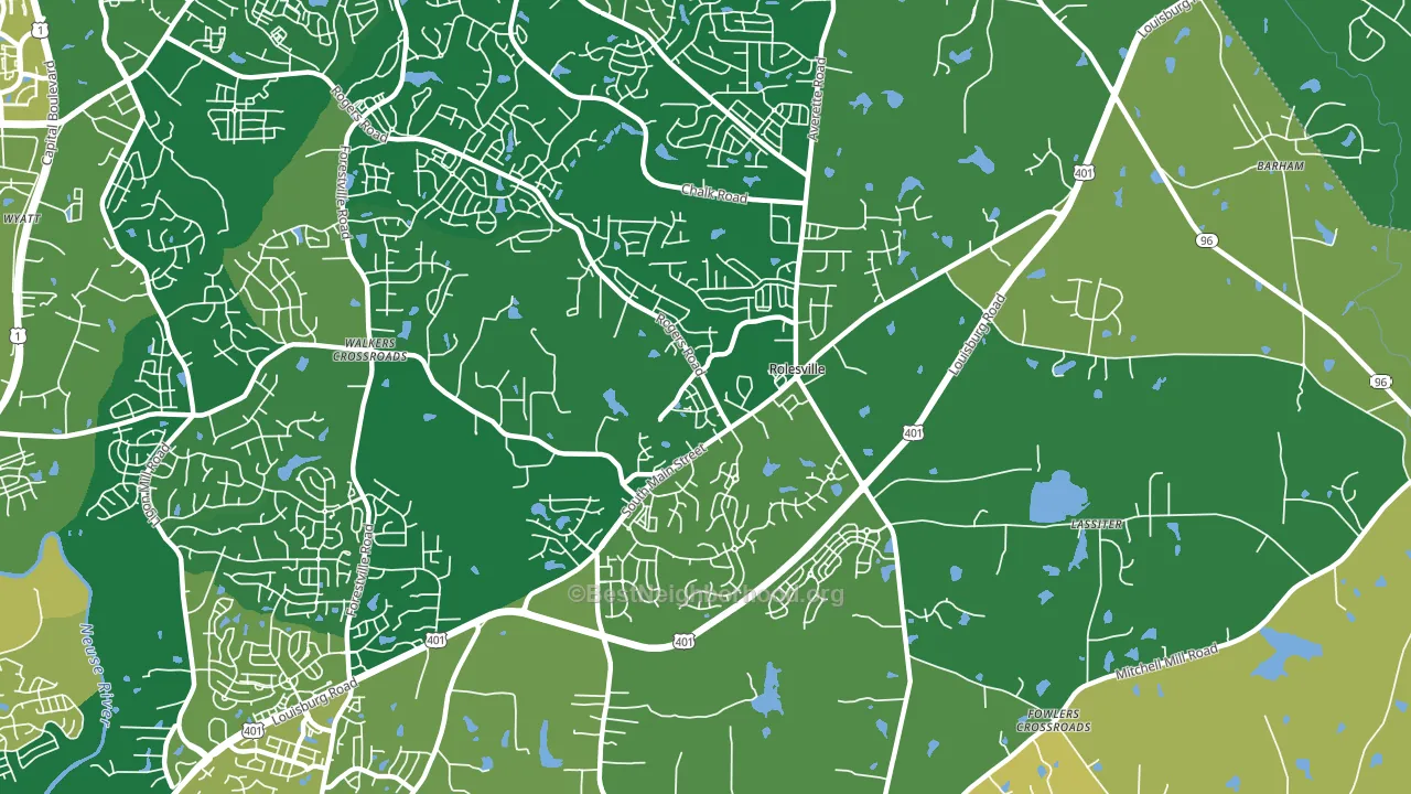 Rolesville, NC block-group voter-turnout map