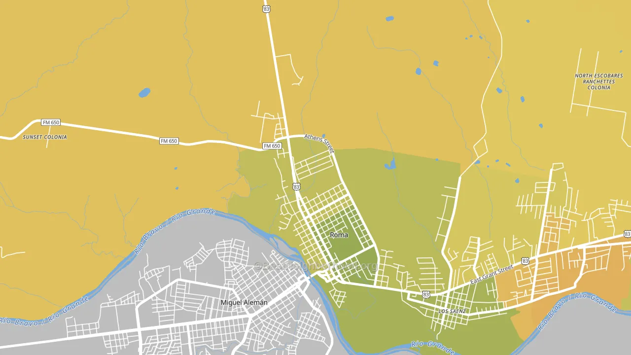 Roma Creek, TX block-group voter-turnout map