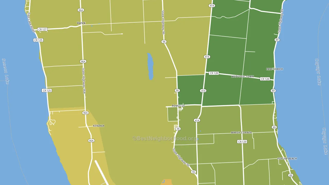 Romulus, NY block-group voter-turnout map
