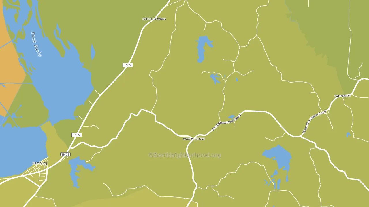 Roneys Store, TN block-group voter-turnout map