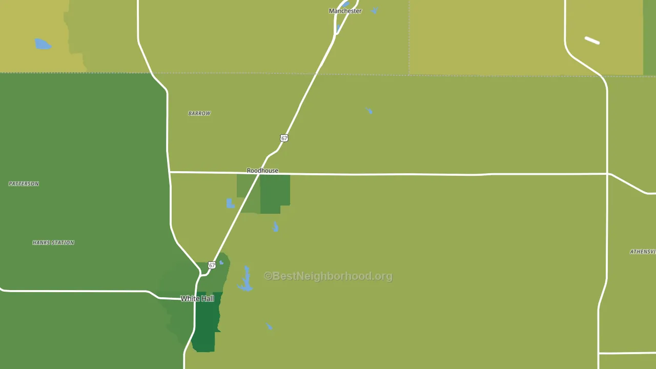 Roodhouse, IL block-group voter-turnout map