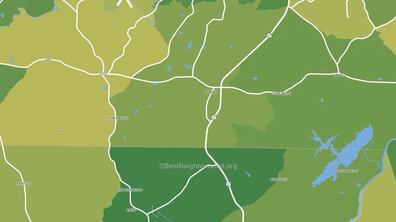 Roopville, GA block-group voter-turnout map
