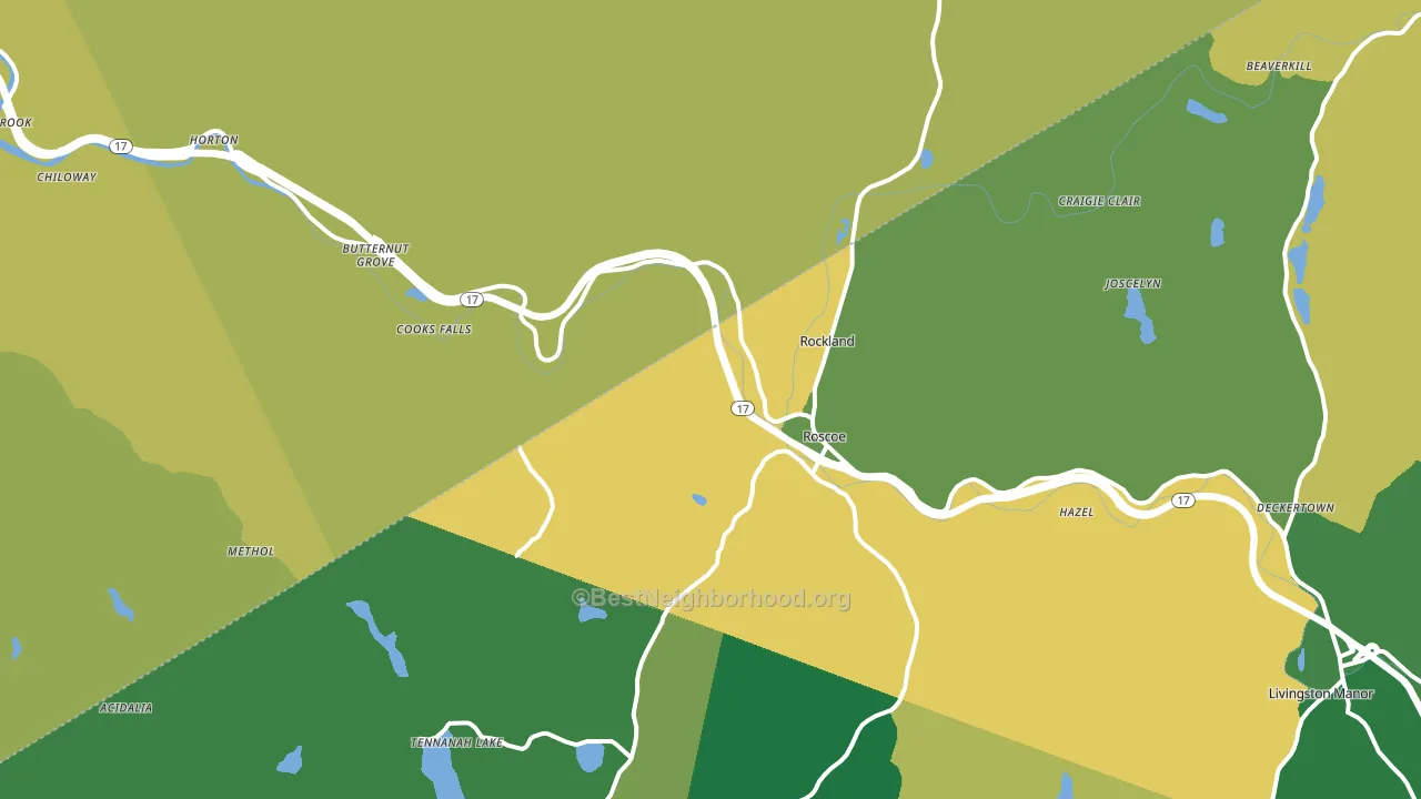 Roscoe, NY block-group voter-turnout map