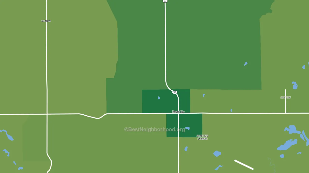 Rose City, MI block-group voter-turnout map