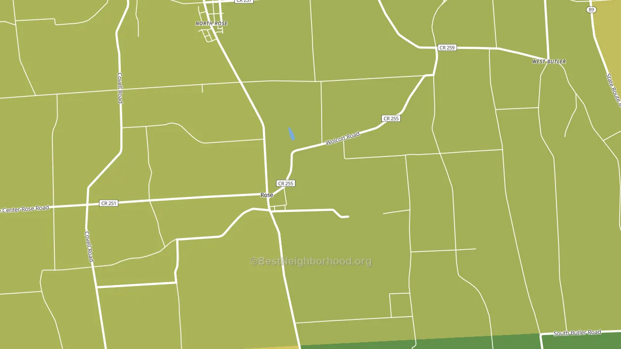 Rose, NY block-group voter-turnout map