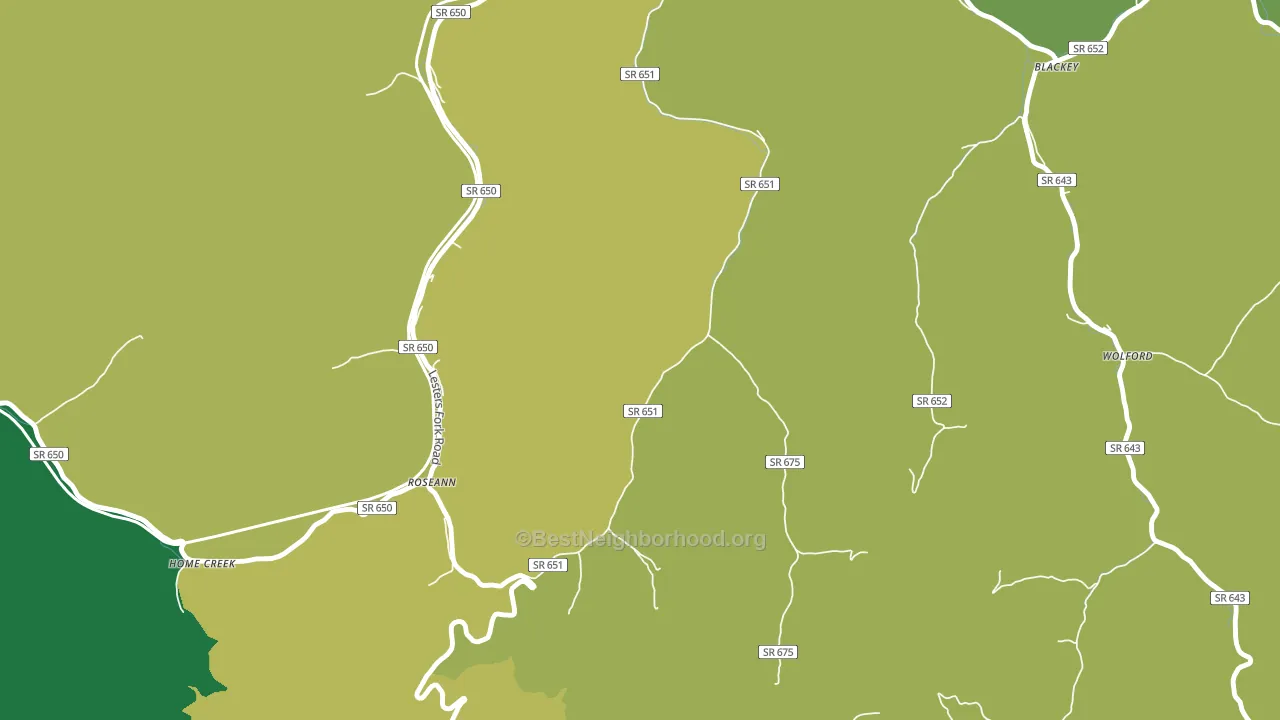 Roseann, VA block-group voter-turnout map