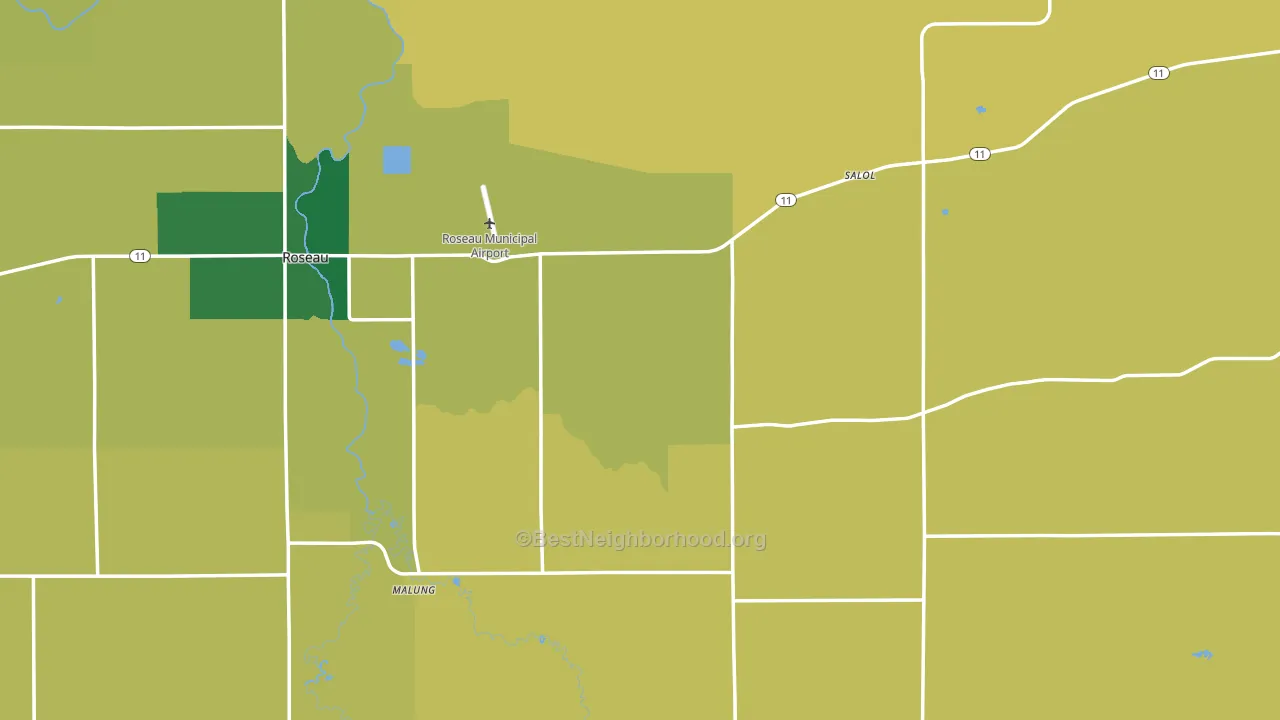 Roseau County, MN block-group voter-turnout map