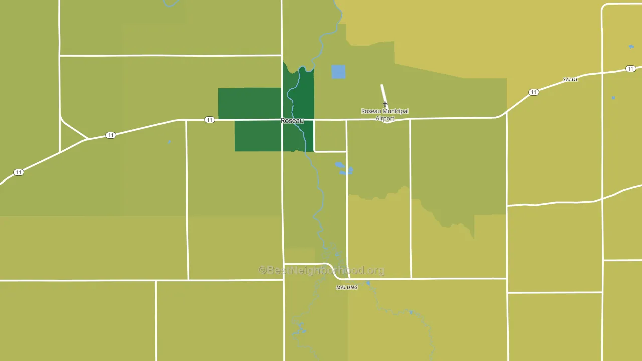 Roseau, MN block-group voter-turnout map