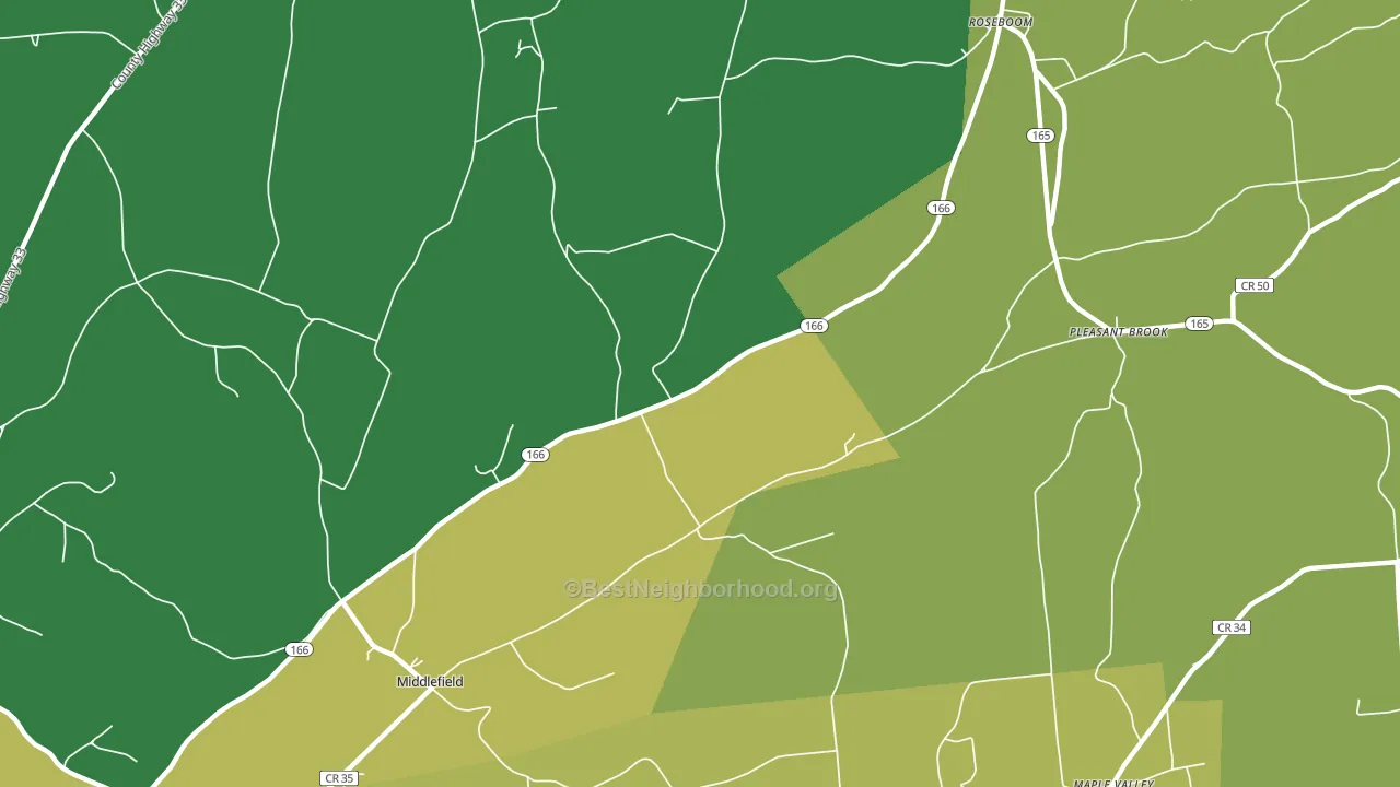 Roseboom, NY block-group voter-turnout map