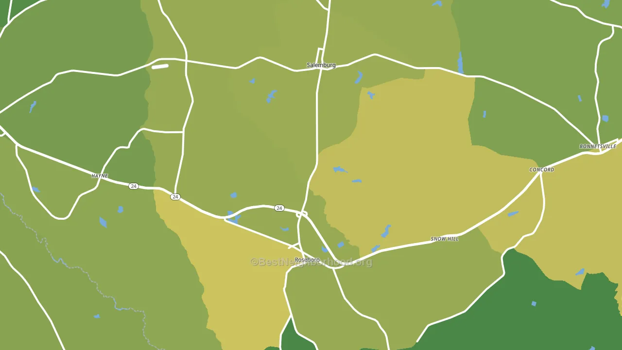 Roseboro, NC block-group voter-turnout map