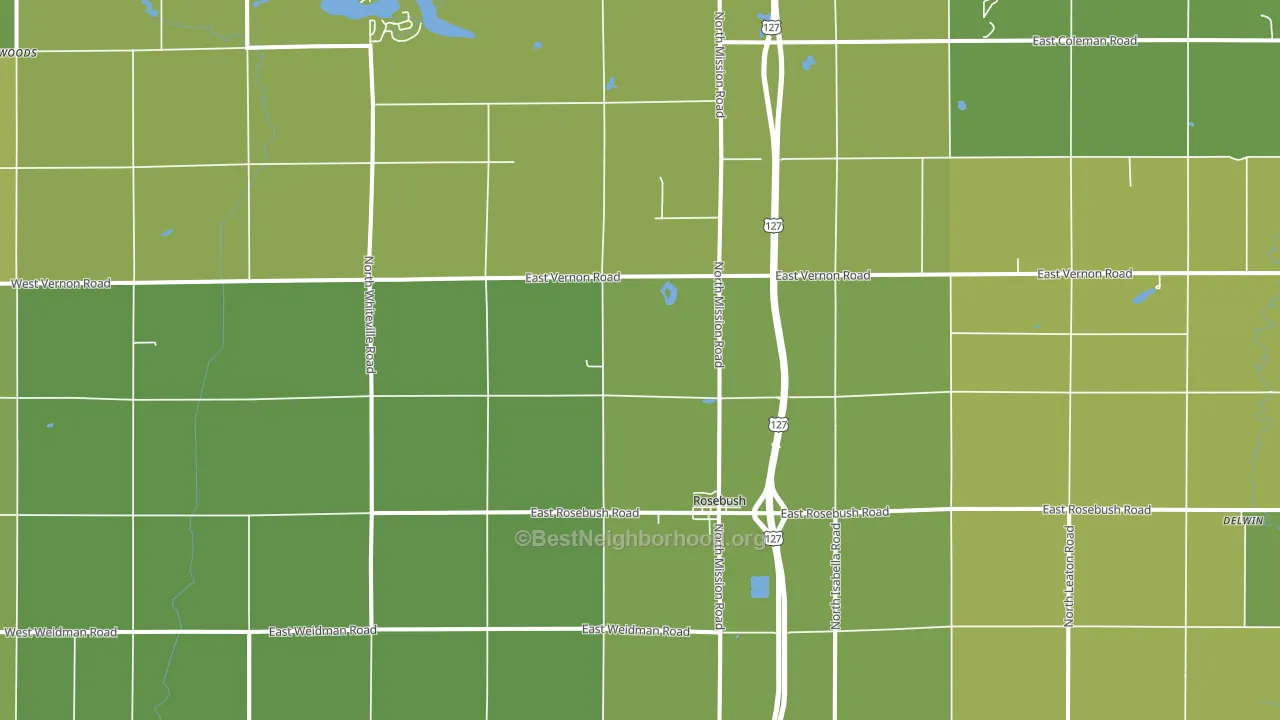 Rosebush, MI block-group voter-turnout map