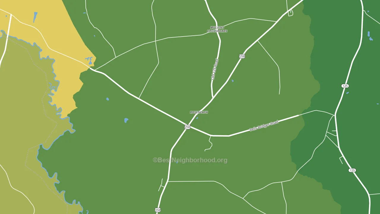 Roseneath, NC block-group voter-turnout map