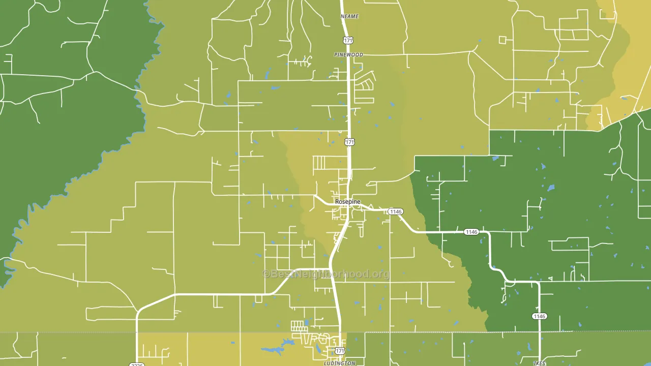 Rosepine, LA block-group voter-turnout map