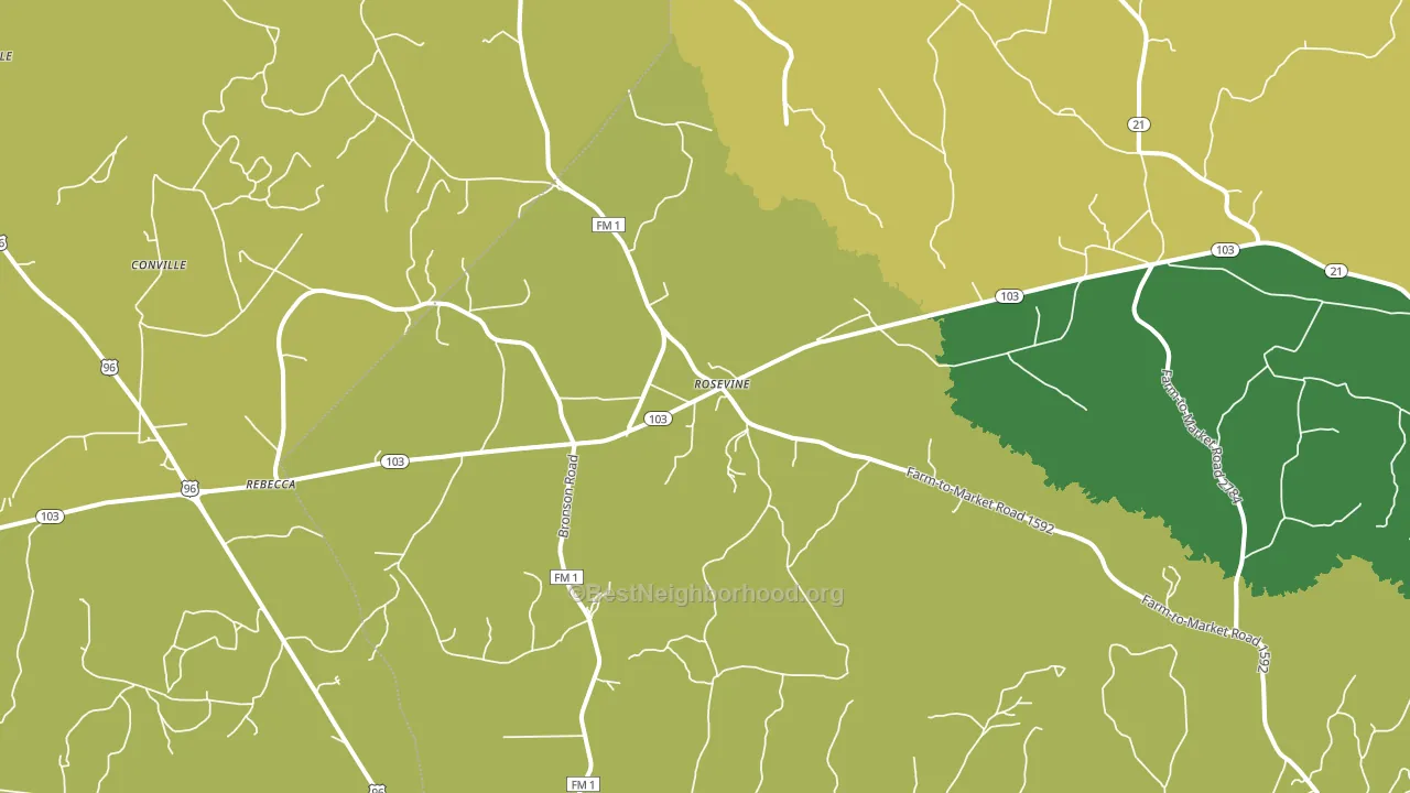 Rosevine, TX block-group voter-turnout map