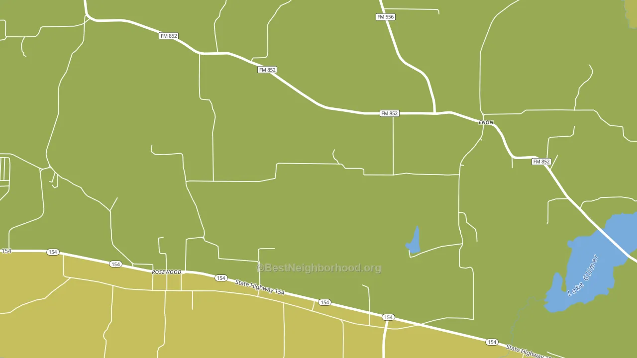 Rosewood, TX block-group voter-turnout map