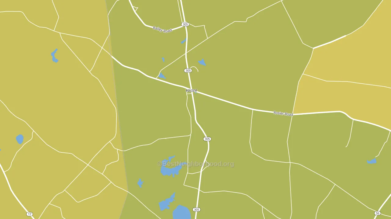 Rosier, GA block-group voter-turnout map