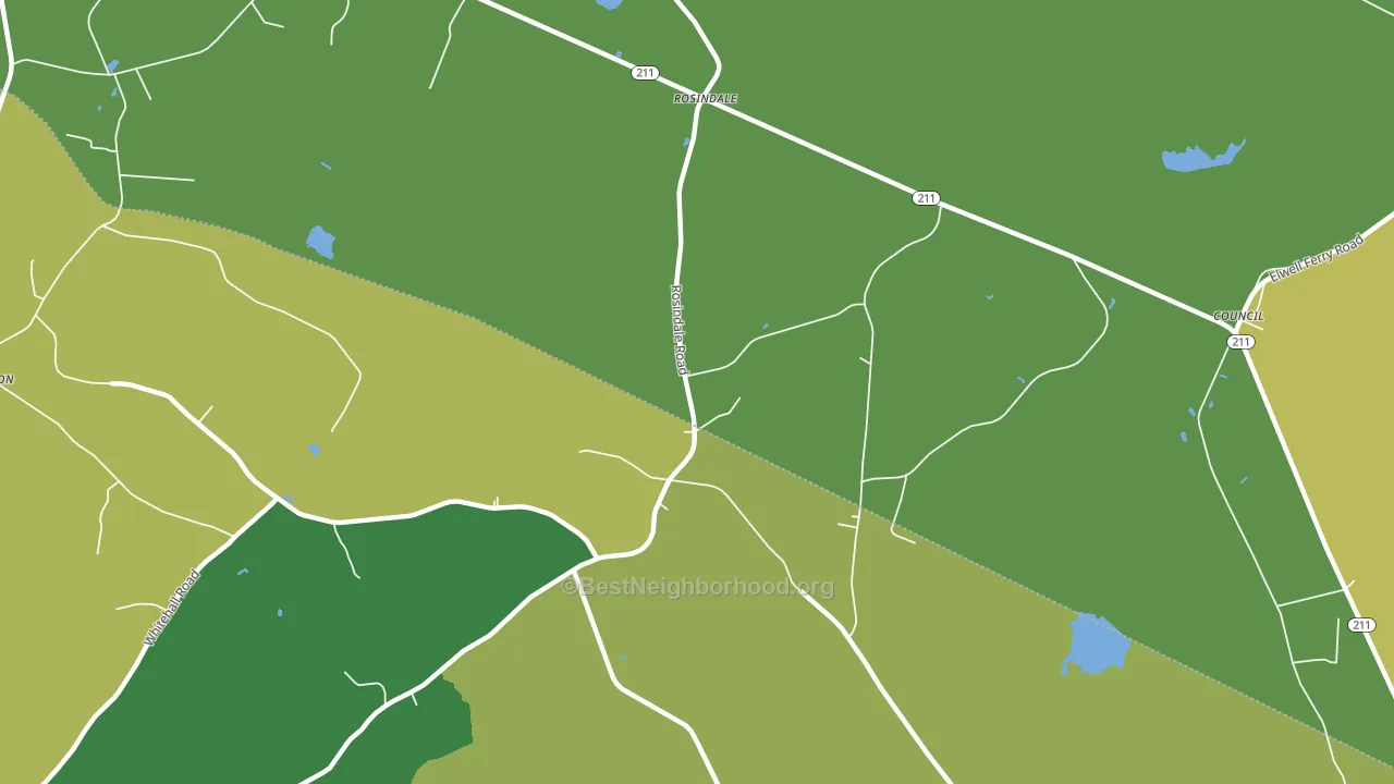 Rosindale, NC block-group voter-turnout map
