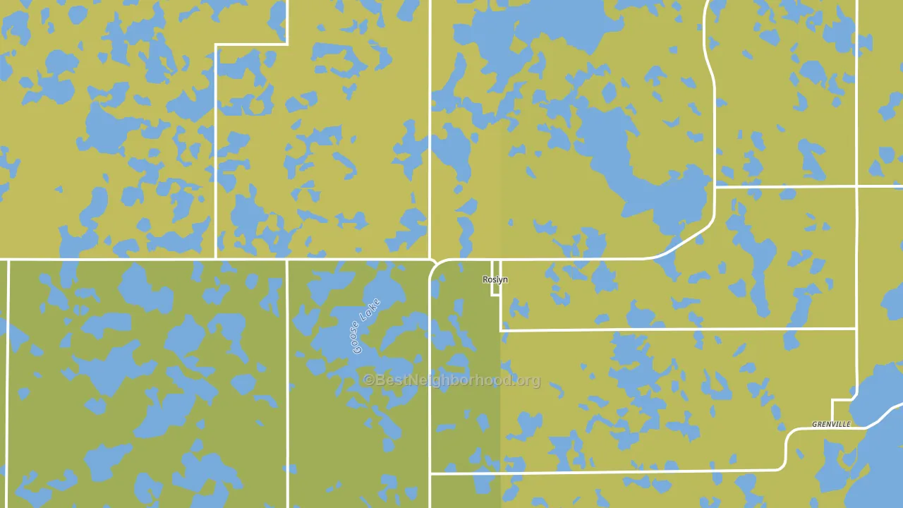 Roslyn, SD block-group voter-turnout map