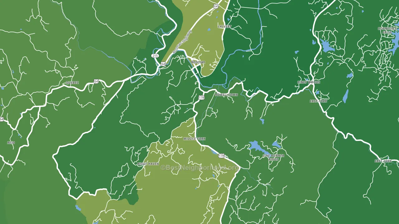 Rosman, NC block-group voter-turnout map