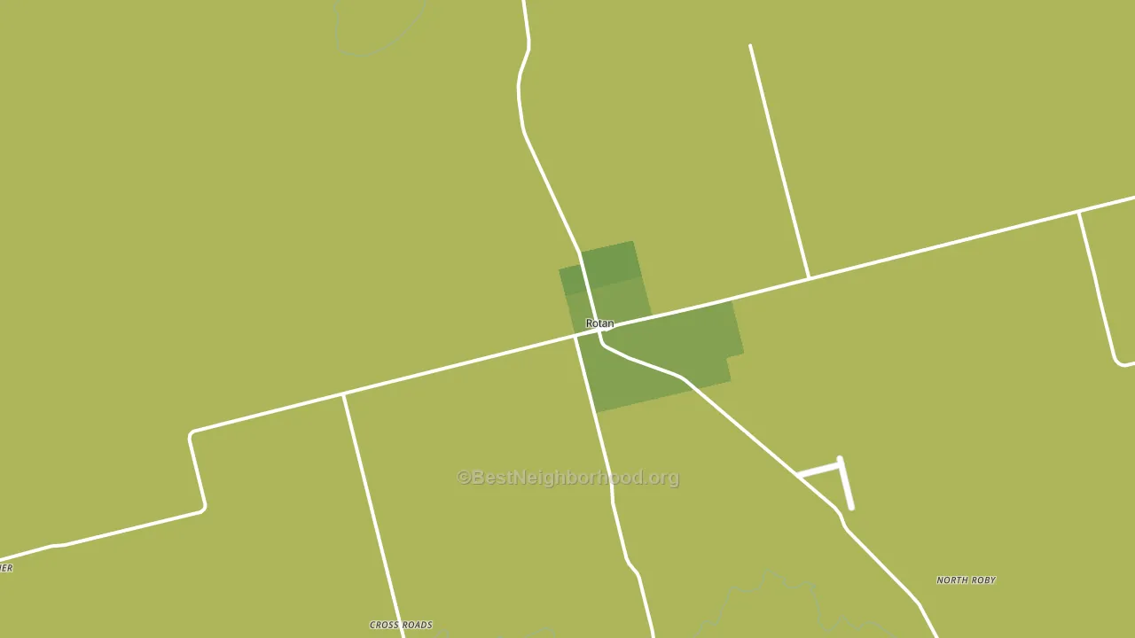 Rotan, TX block-group voter-turnout map
