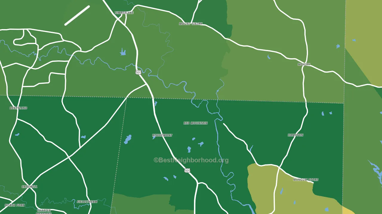 Rougemont, NC block-group voter-turnout map