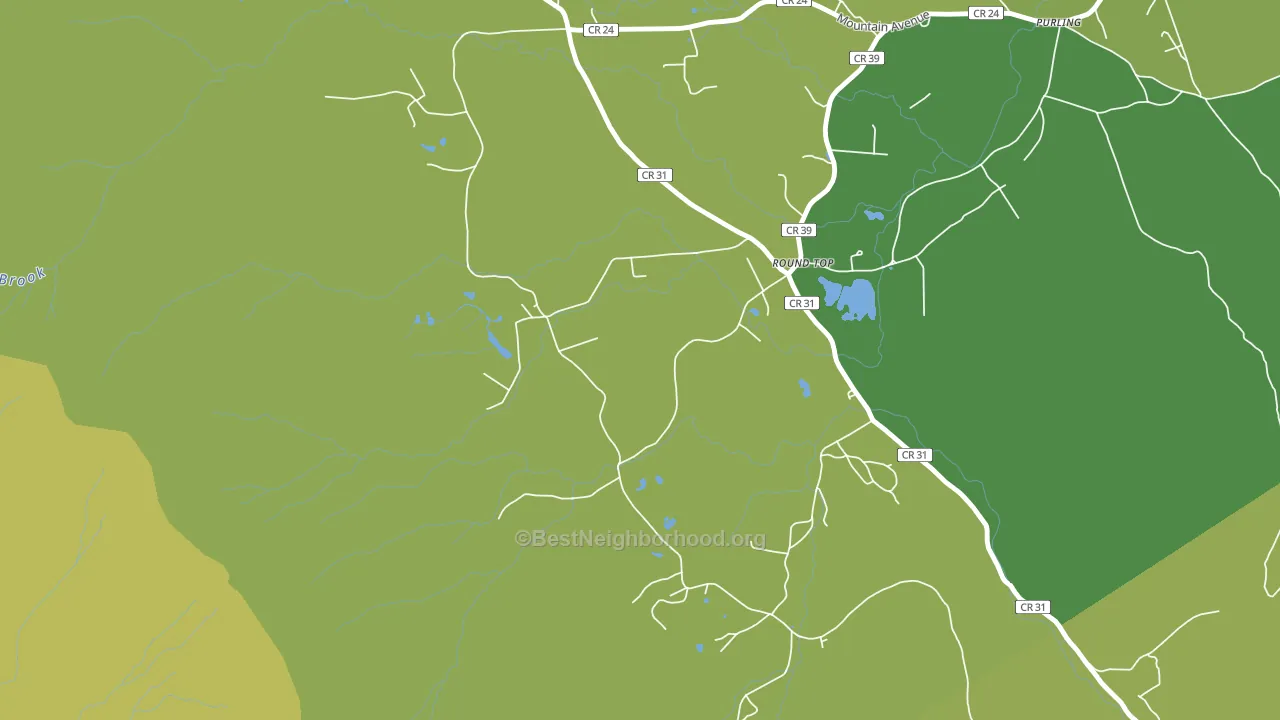 Round Top, NY block-group voter-turnout map