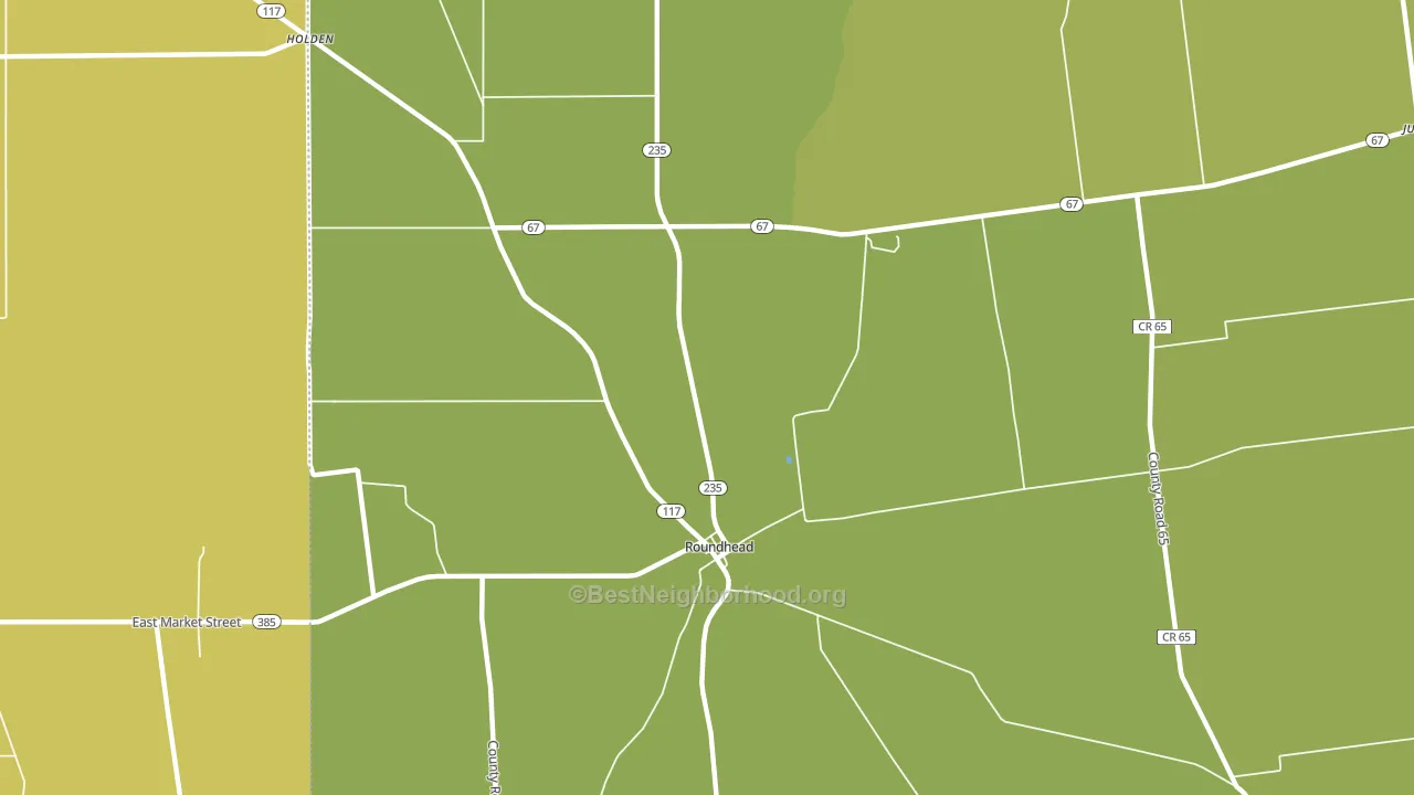 Roundhead, OH block-group voter-turnout map