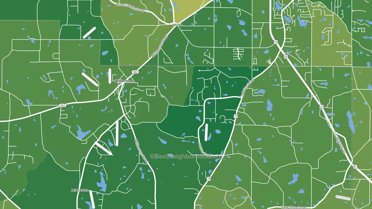 Rover, GA block-group voter-turnout map