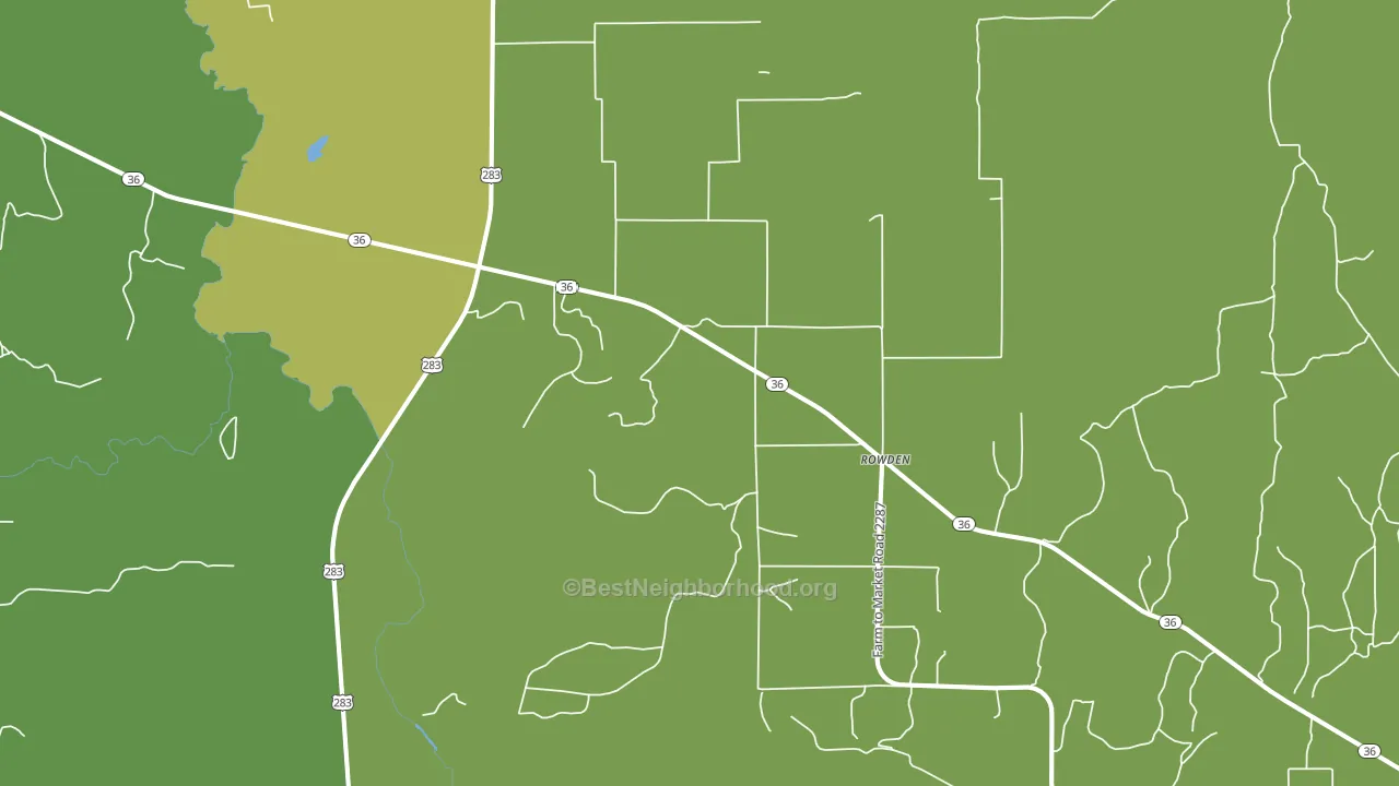 Rowden, TX block-group voter-turnout map