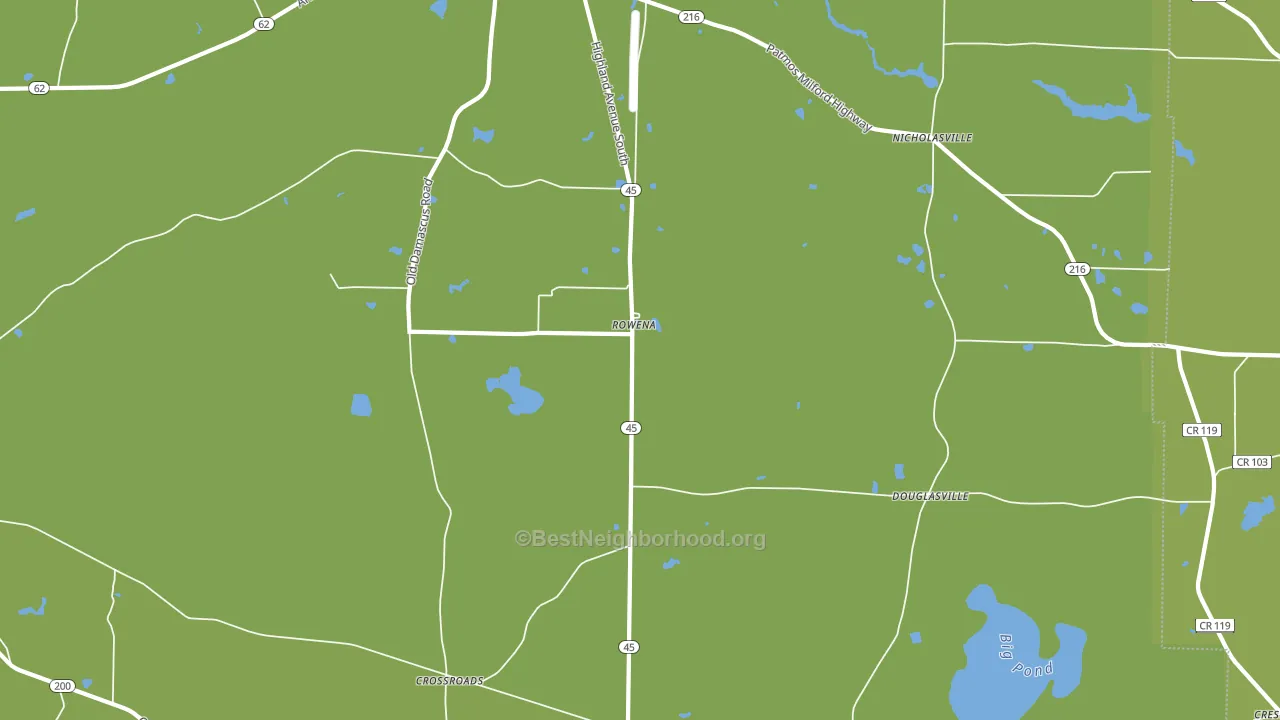 Rowena, GA block-group voter-turnout map