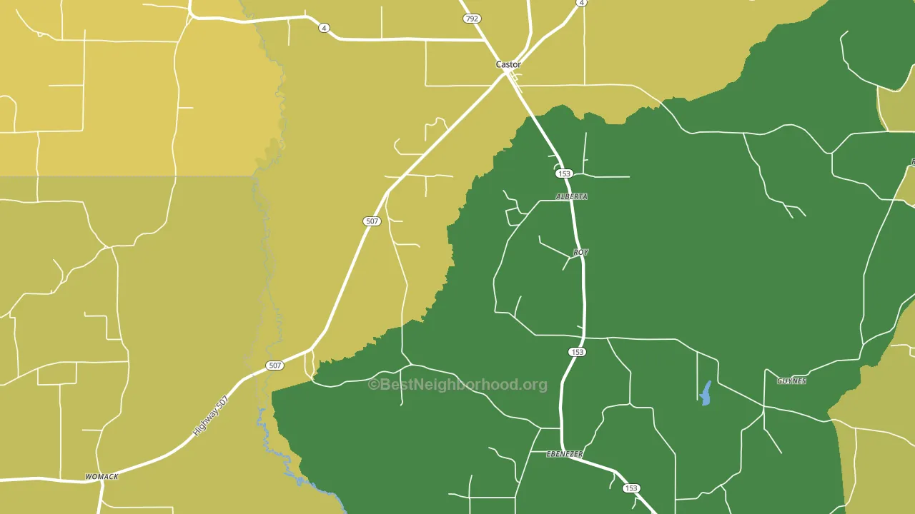 Roy, LA block-group voter-turnout map