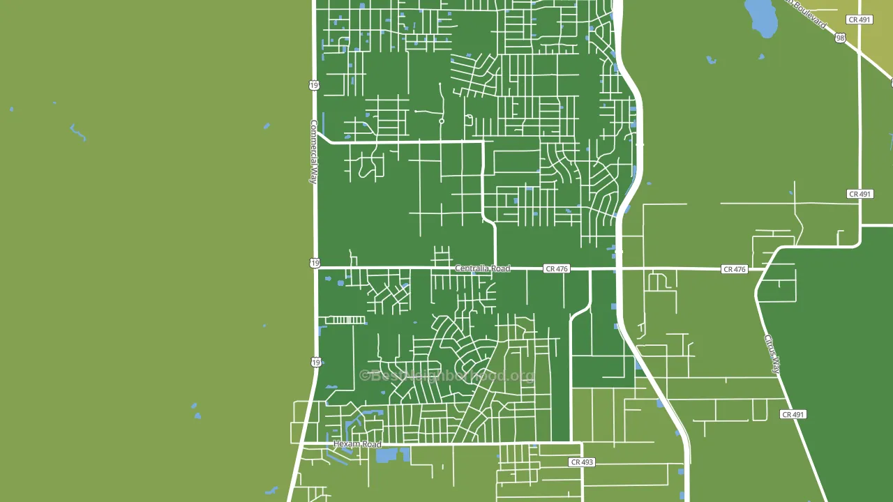 Royal Highlands, Brooksville, FL block-group voter-turnout map