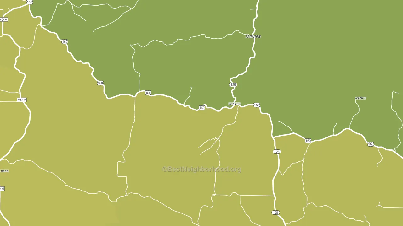Rueter, MO block-group voter-turnout map