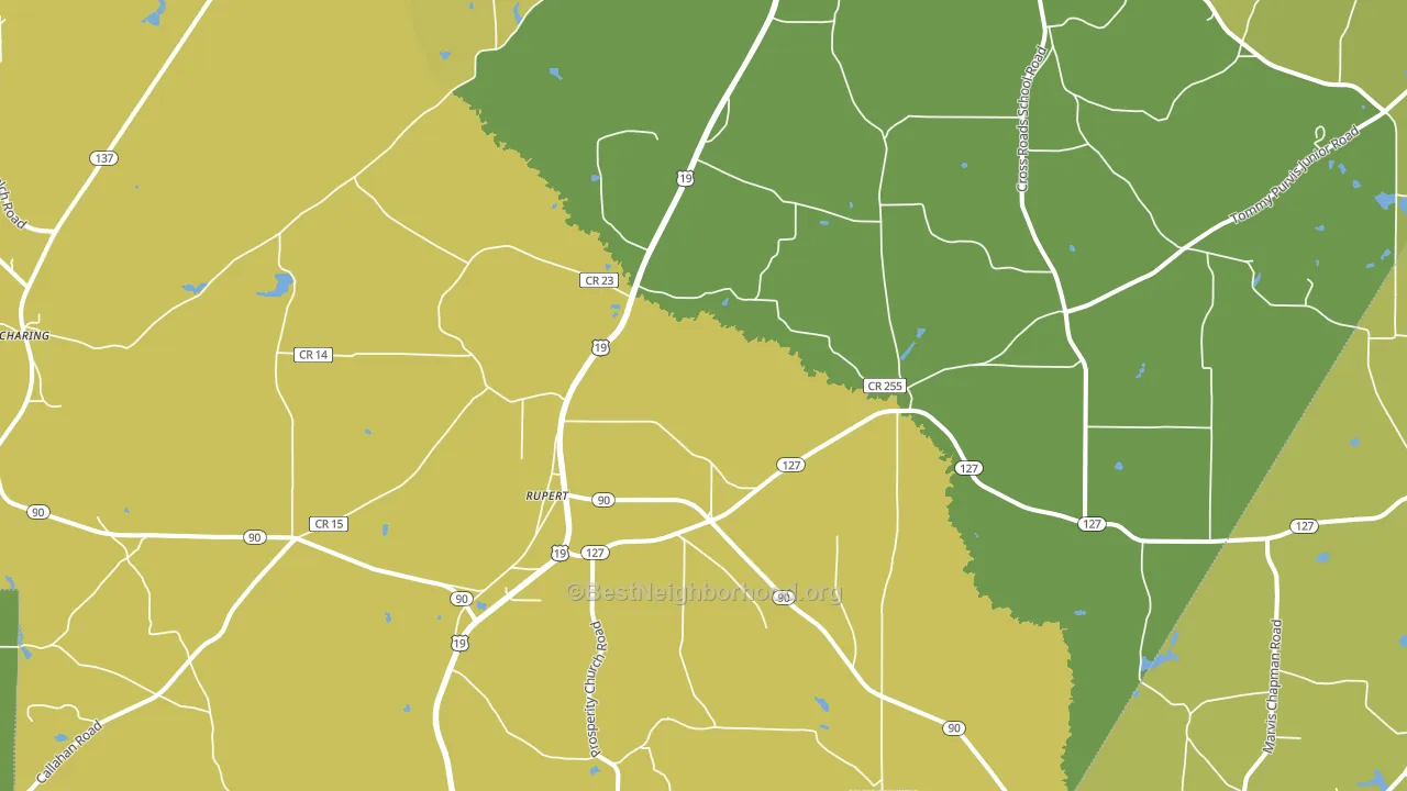 Rupert, GA block-group voter-turnout map
