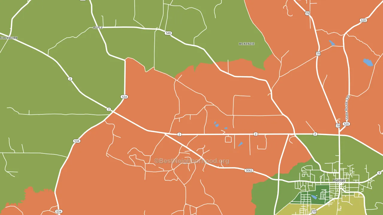 Ruple, LA block-group voter-turnout map