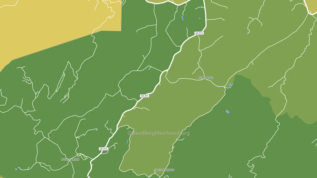 Rural Vale, TN block-group voter-turnout map
