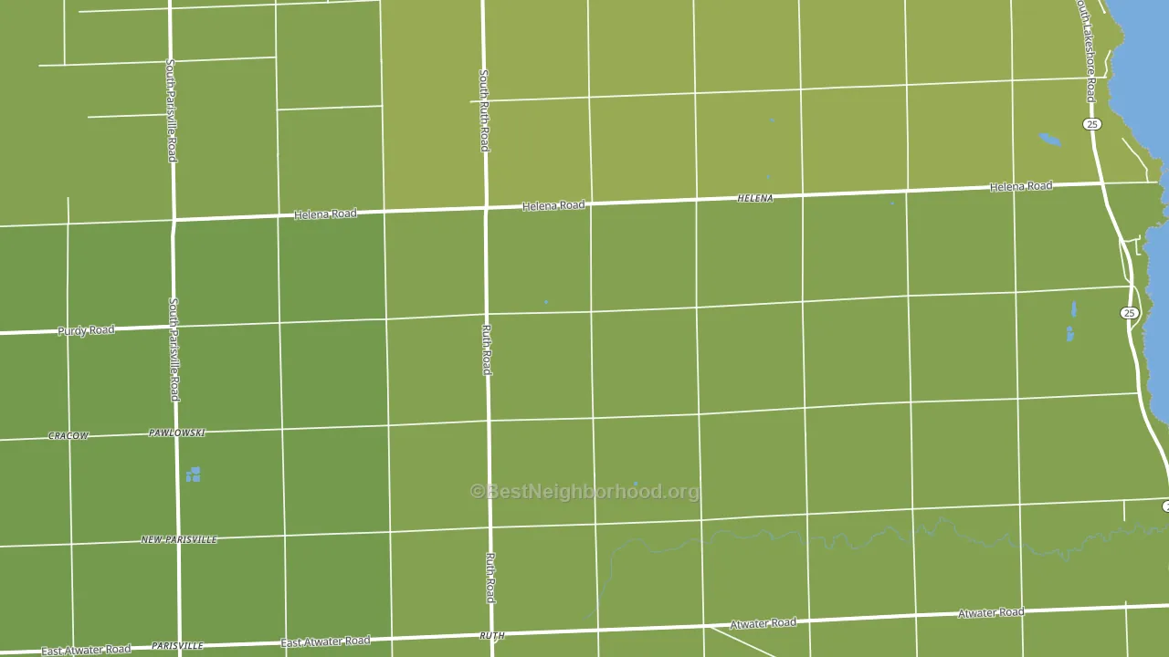 Ruth, MI block-group voter-turnout map