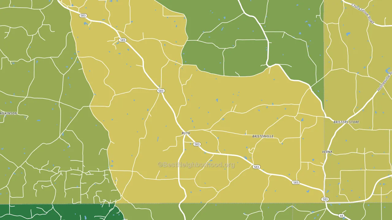 Ruth, MS block-group voter-turnout map