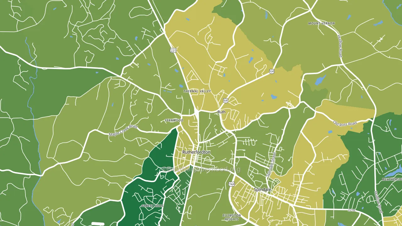Ruth, NC block-group voter-turnout map