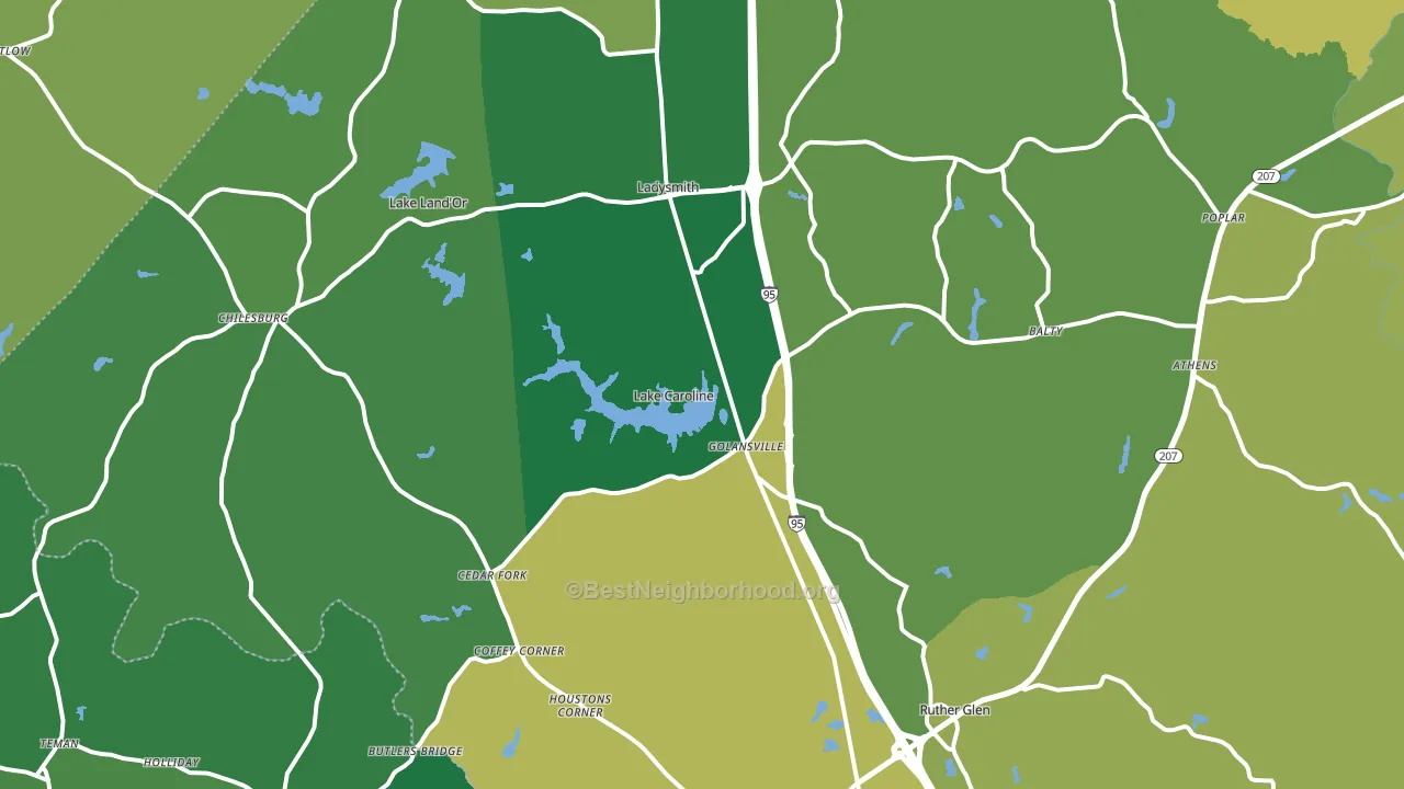 Ruther Glen, VA block-group voter-turnout map