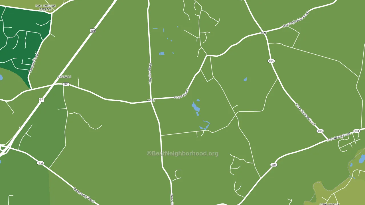 Ruthsburg, MD block-group voter-turnout map