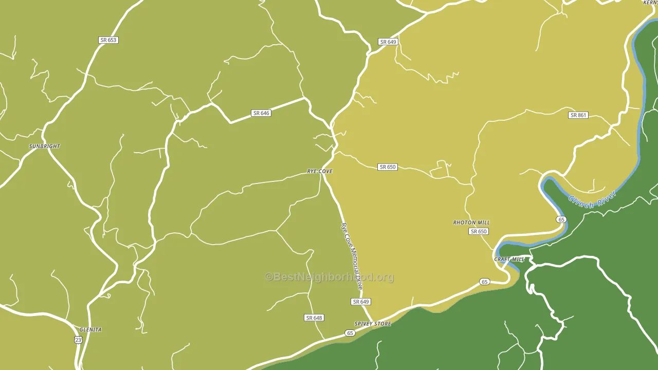 Rye Cove, VA block-group voter-turnout map